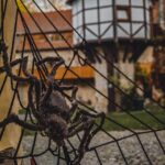 Halloween-3